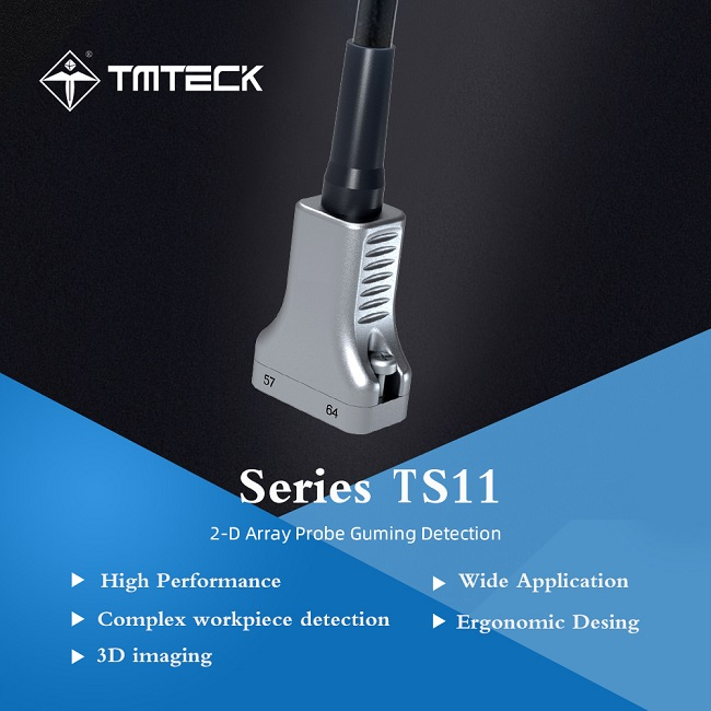 آرایه پروب ماتریس 2 بعدی TS11
